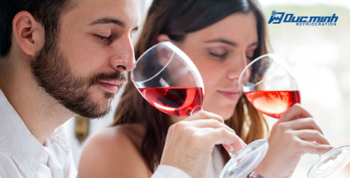 Rượu vang bị hỏng – làm sao để “nhận diện” nhanh chóng?